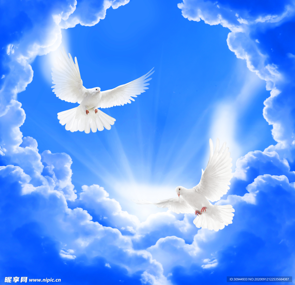 蓝天白鸽背景墙
