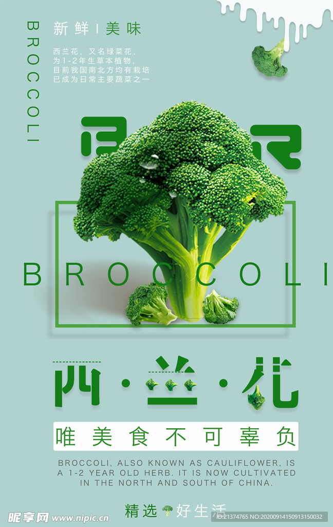 简约小清新西兰花海报