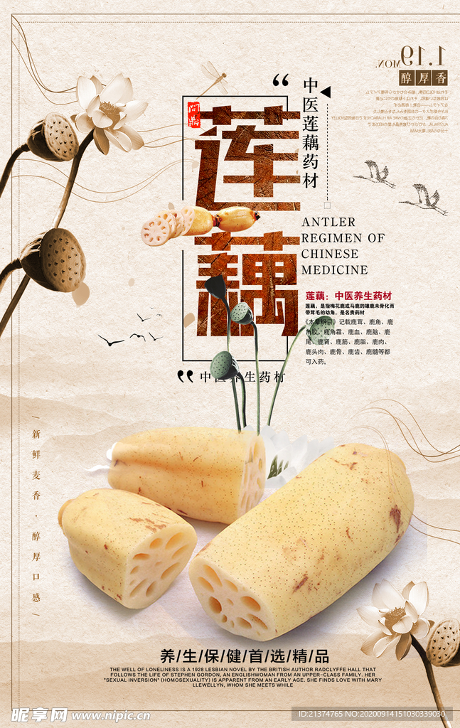 美食中国风莲藕海报