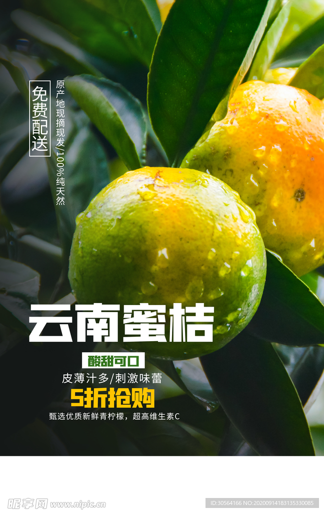 云南蜜桔水果果农活动宣传海报