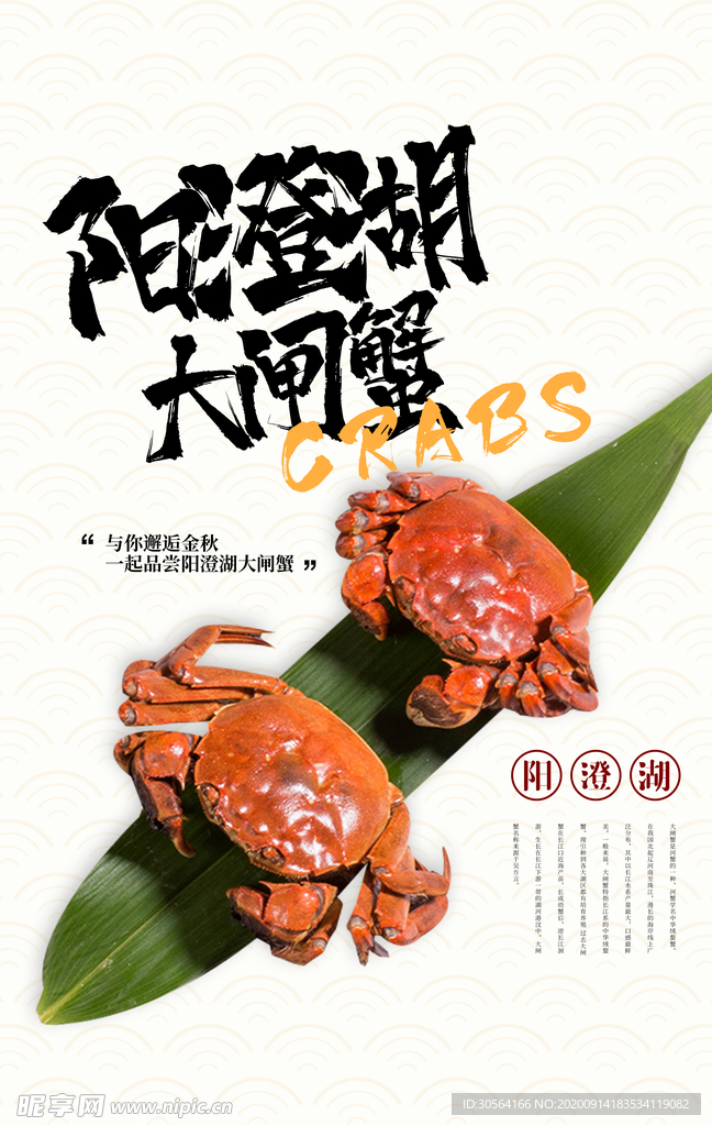 大闸蟹美食活动宣传海报素材