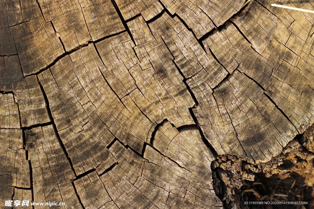 木纹背景