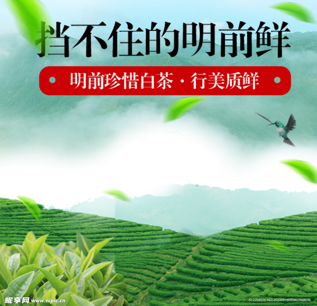 茶叶茶饮活动促销优惠淘宝主图