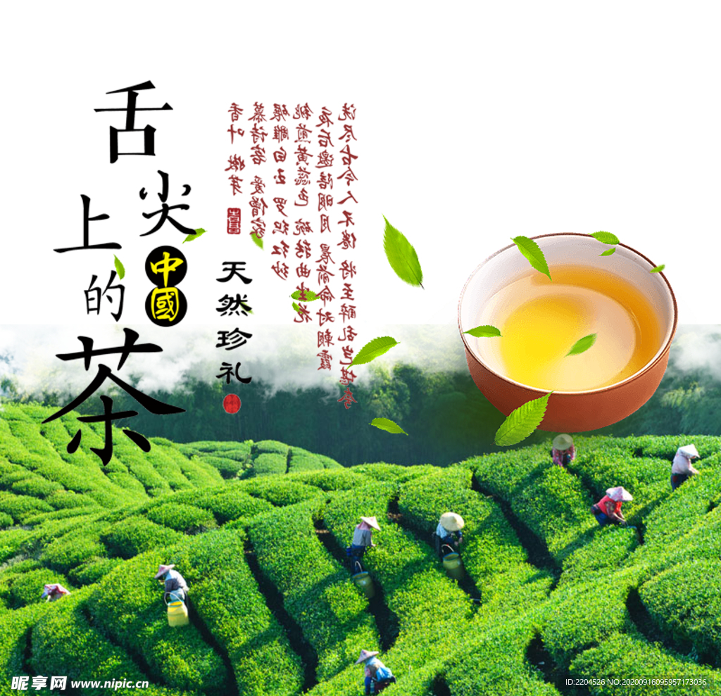 茶叶茶饮活动促销优惠淘宝主图