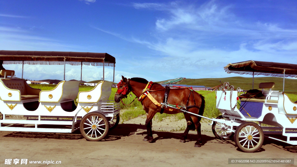 草原马拉车