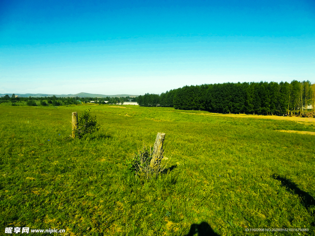 草原风光