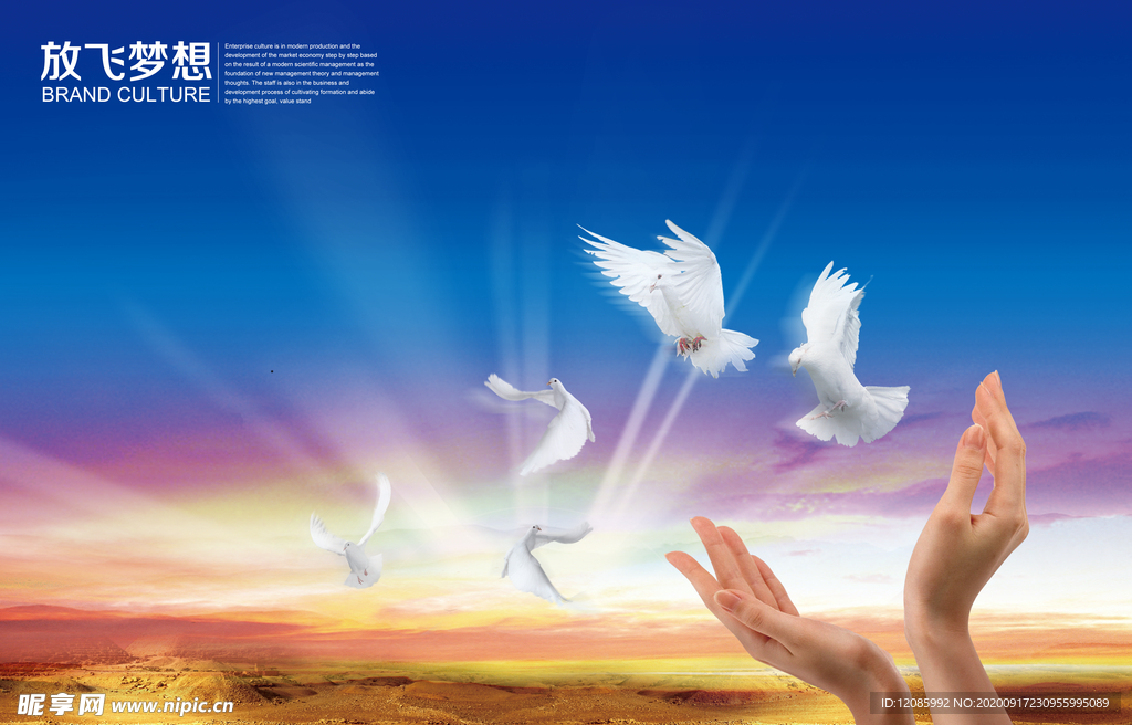 放飞梦想