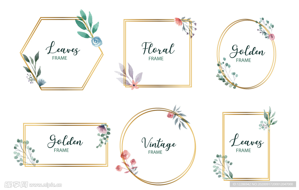 植物花卉金色边框