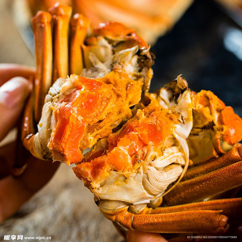 大闸蟹 蟹黄