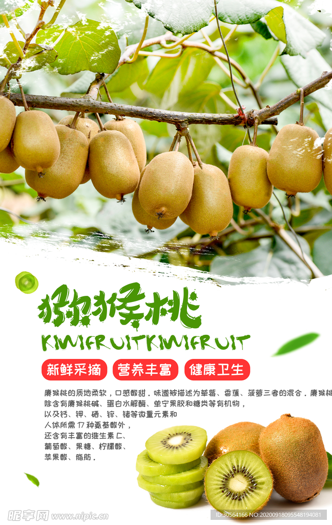 猕猴桃水果活动宣传海报素材