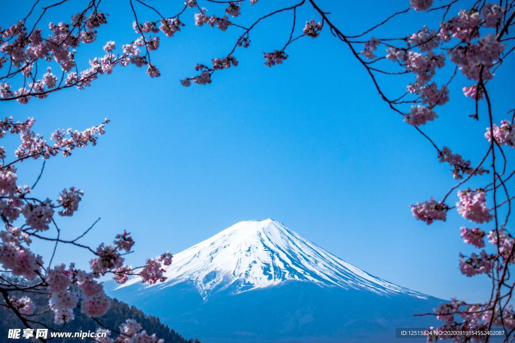 富士山
