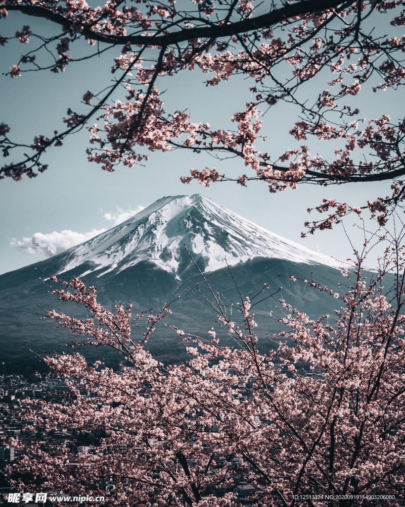 富士山