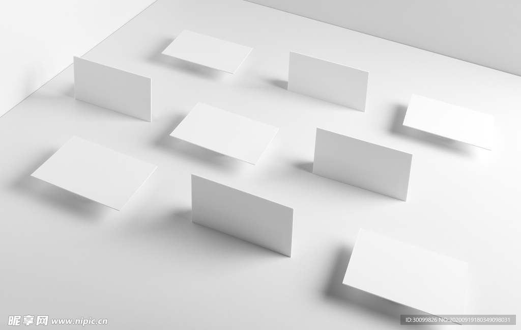 高端大气名名片样机