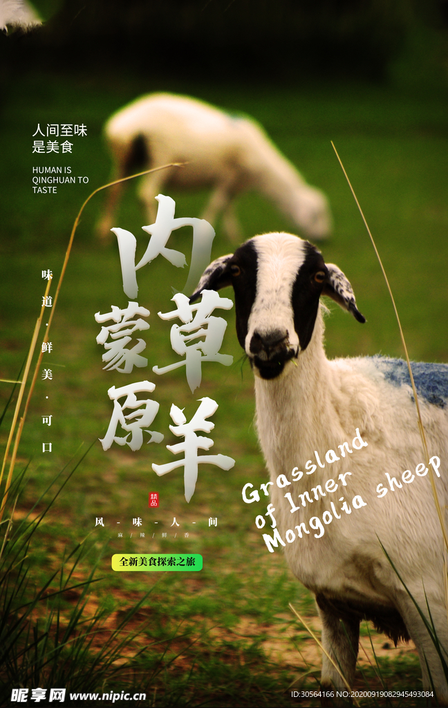 内蒙草原羊食材活动海报素材