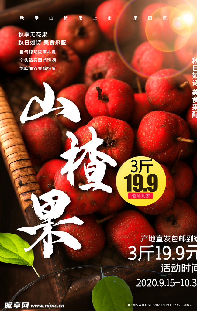 山楂果水果零食活动海报素材