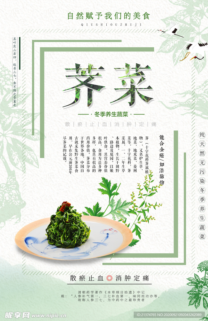 小清新简约荠菜海报