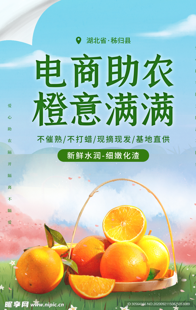 电商助农水果宣传海报素材