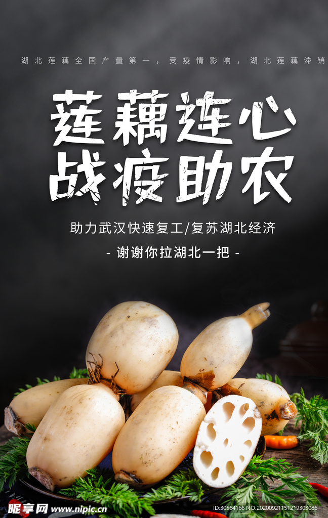 电商助农莲藕宣传海报素材