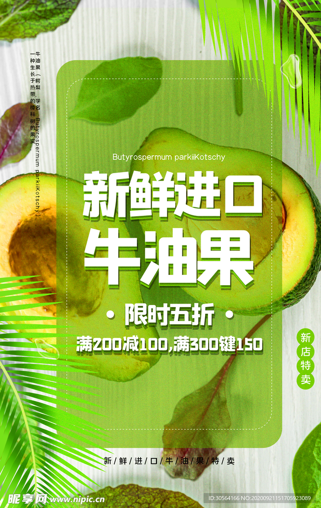 牛油果水果宣传海报素材
