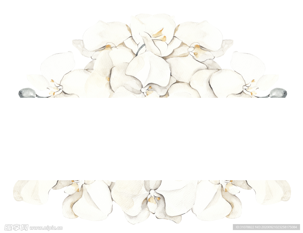 北欧小清新水彩植物图案