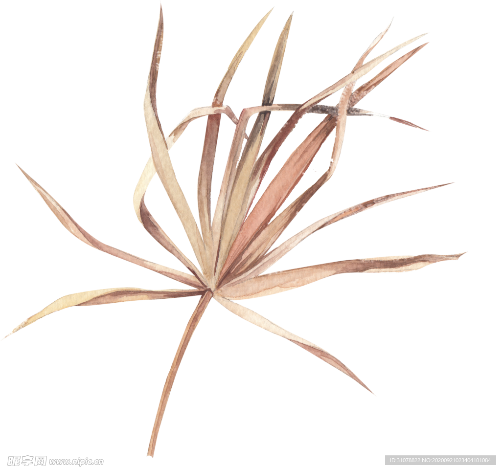 北欧小清新水彩植物图案