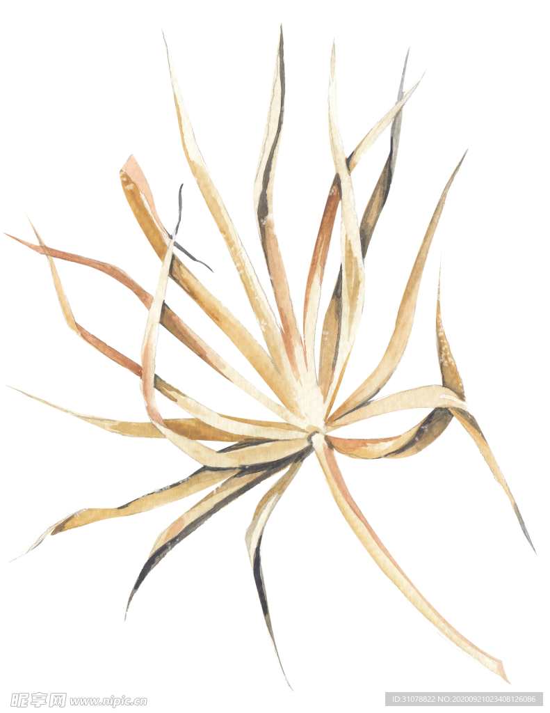 北欧小清新水彩植物图案