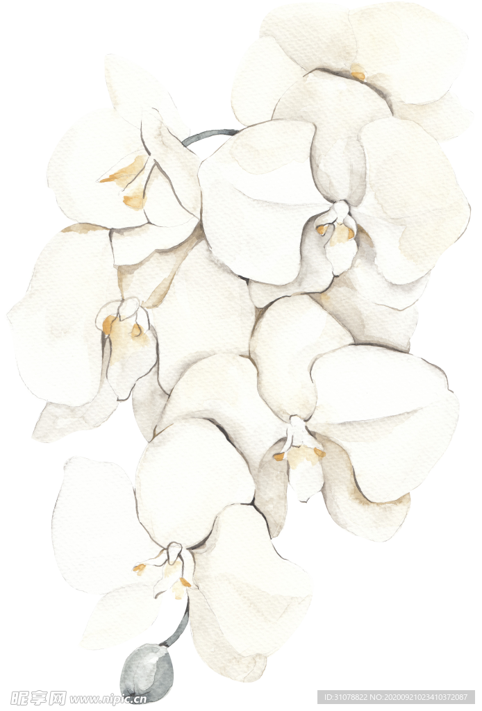 北欧小清新水彩植物图案