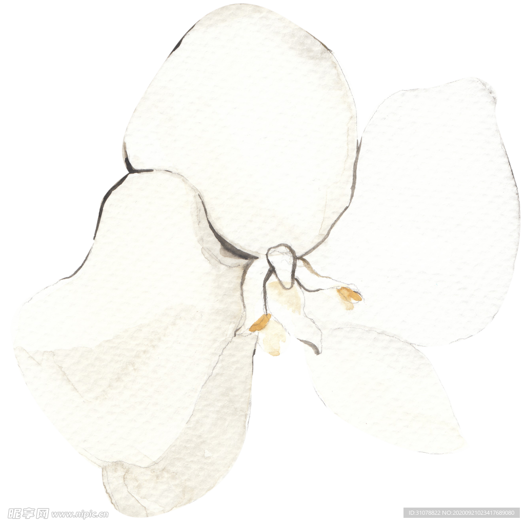 北欧小清新水彩植物图案