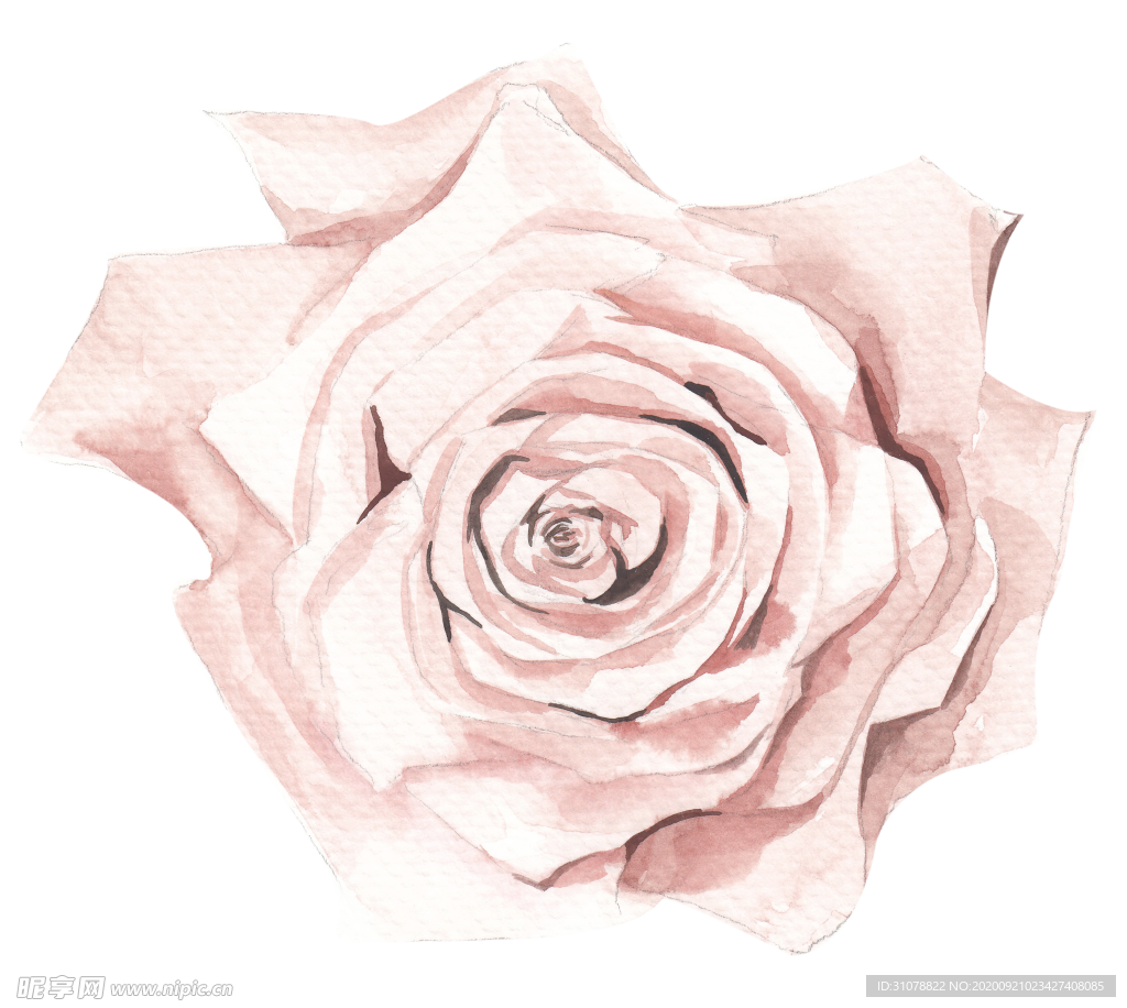 北欧小清新水彩植物图案