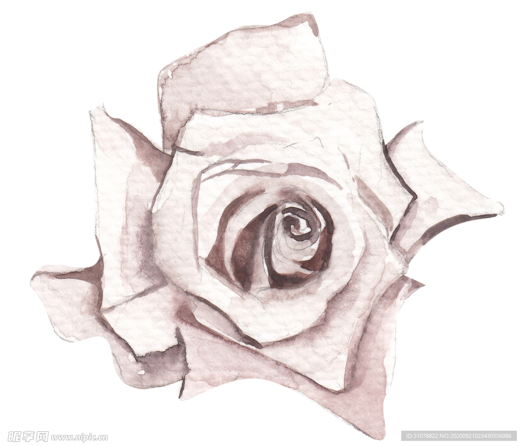 北欧小清新水彩植物图案