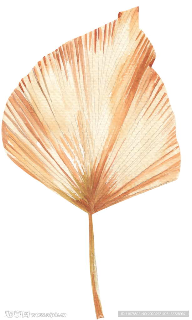 北欧小清新水彩植物图案