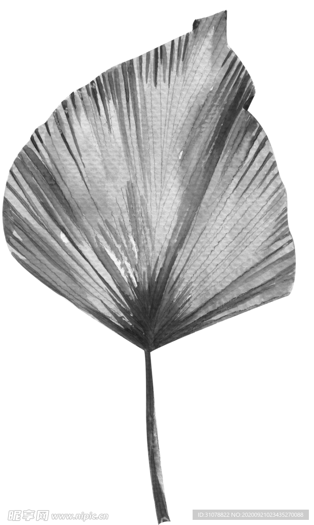 北欧小清新水彩植物图案