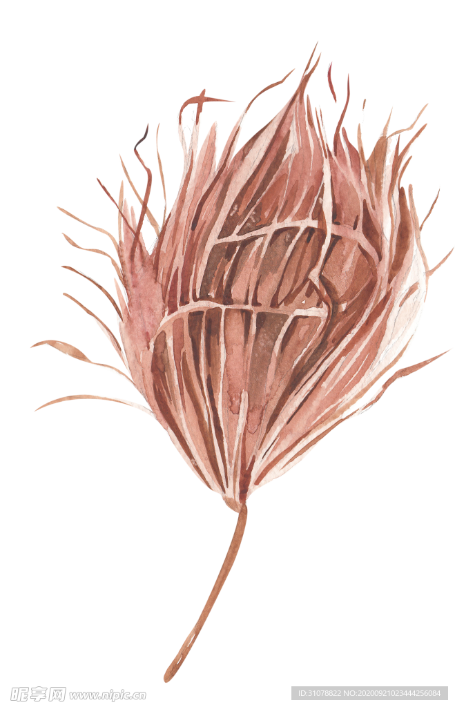 北欧小清新水彩植物图案