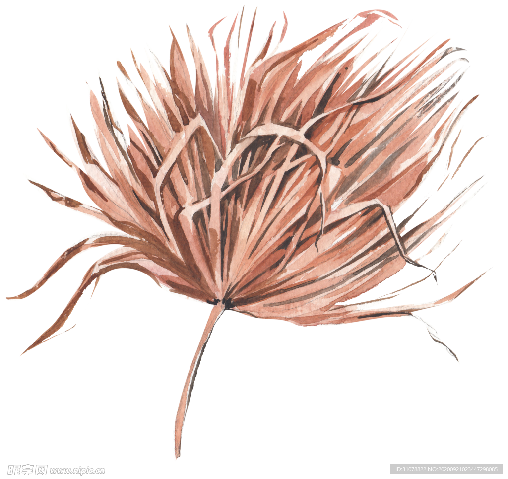 北欧小清新水彩植物图案