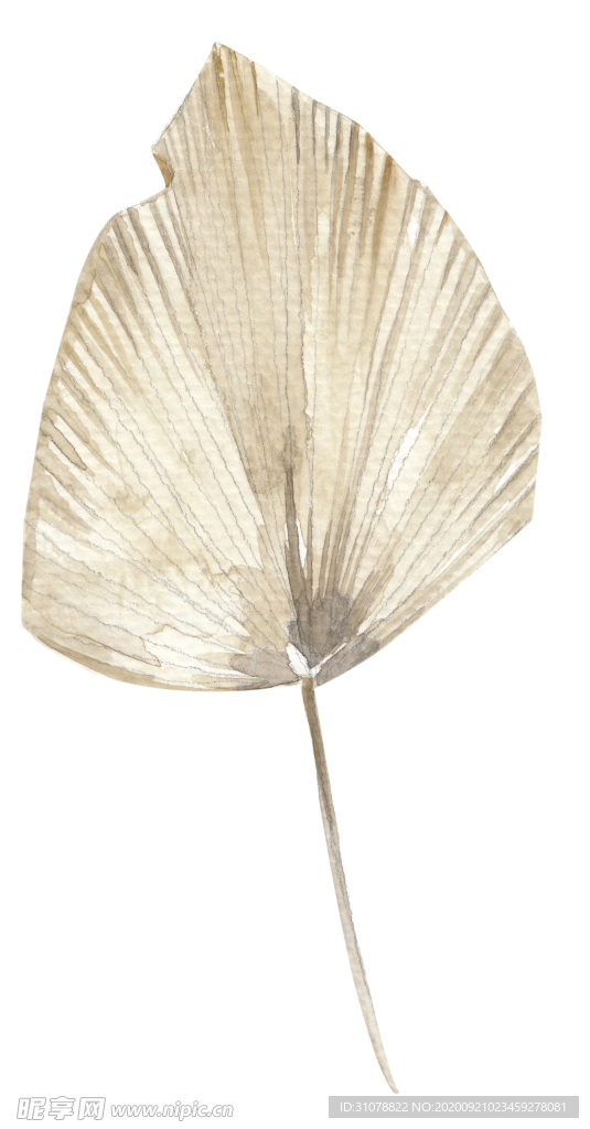 北欧小清新水彩植物图案