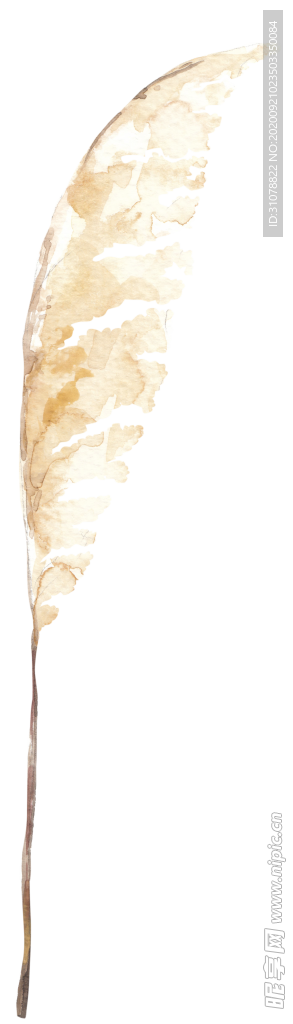 北欧小清新水彩植物图案