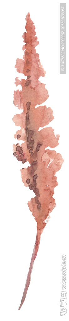 北欧小清新水彩植物图案