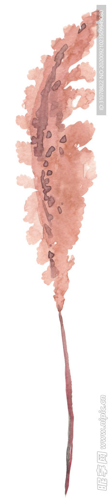 北欧小清新水彩植物图案