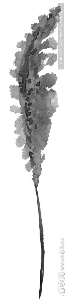 北欧小清新水彩植物图案