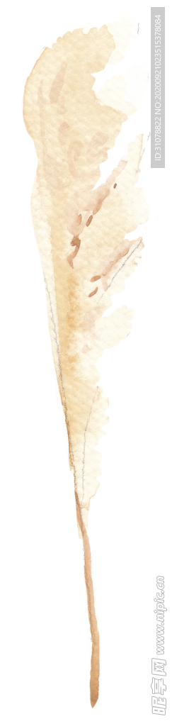 北欧小清新水彩植物图案