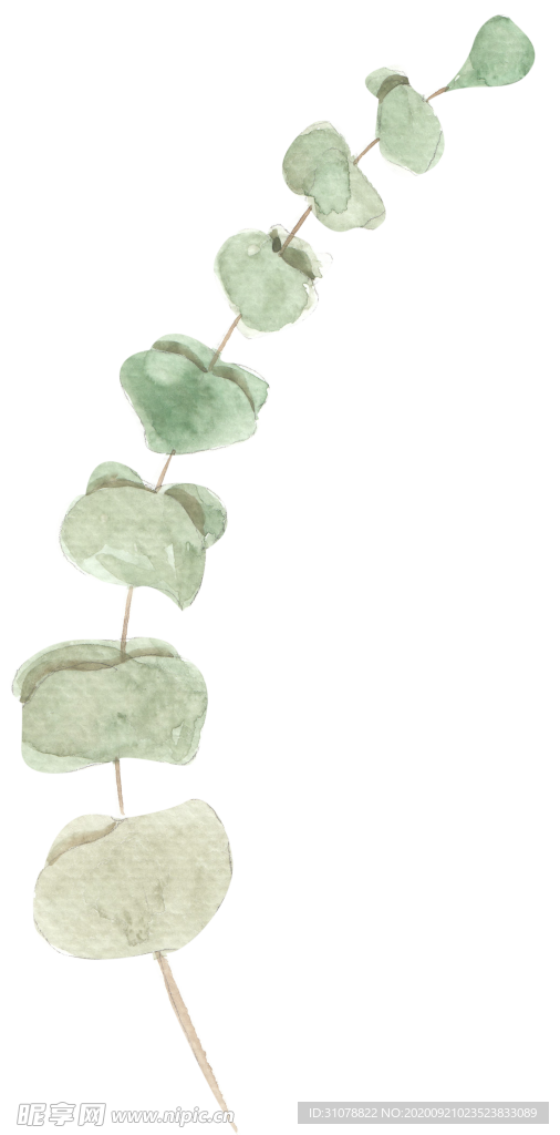 北欧小清新水彩植物图案