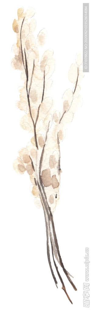 北欧小清新水彩植物图案