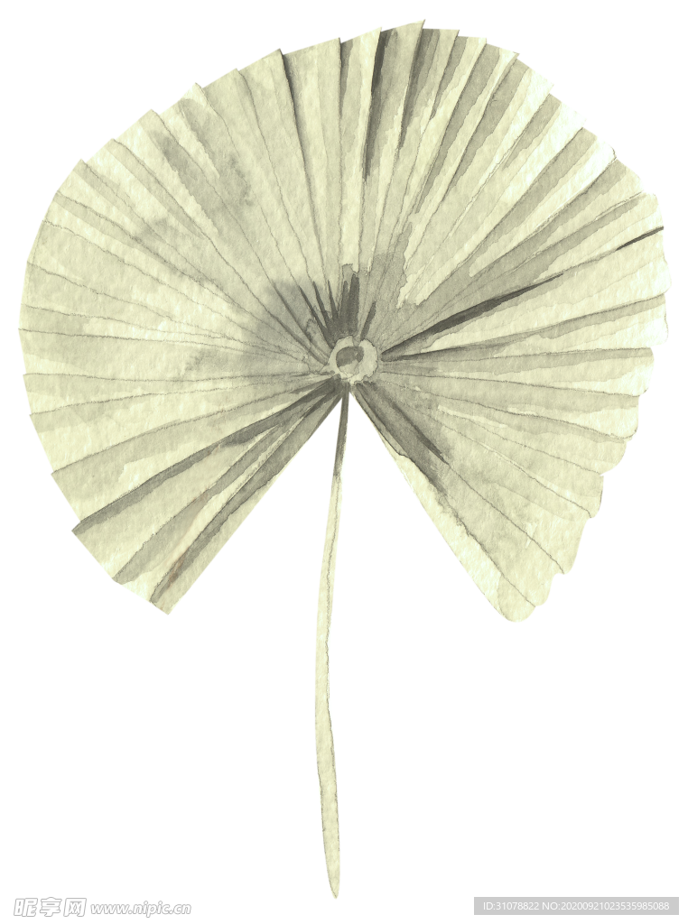 北欧小清新水彩植物图案