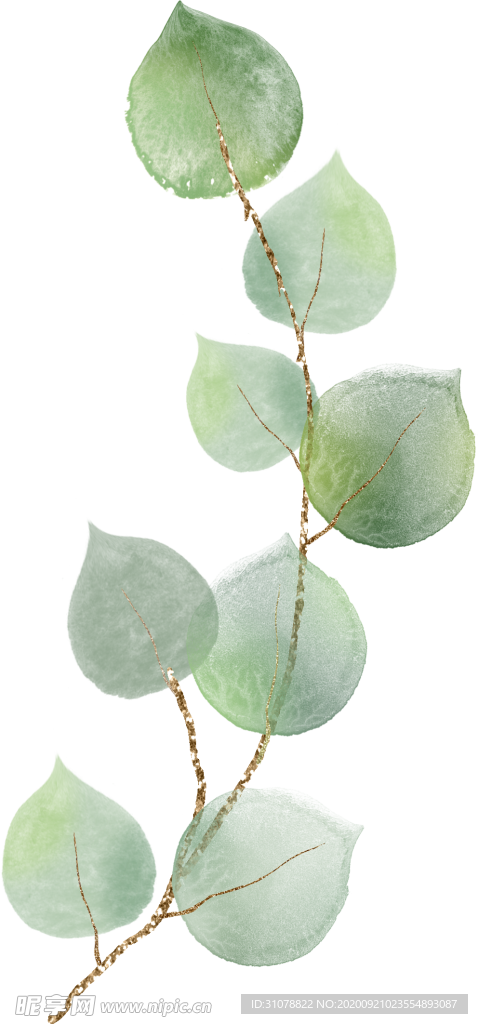 北欧小清新水彩植物图案