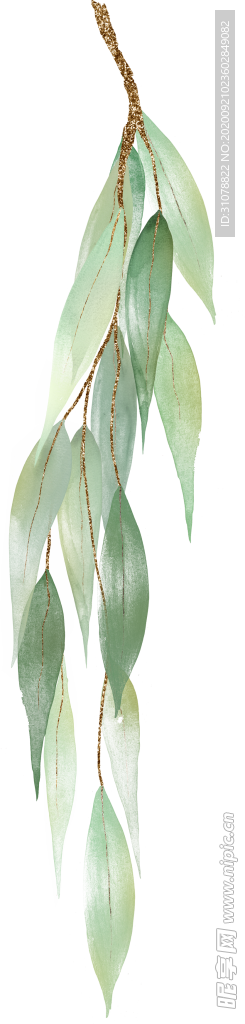 北欧小清新水彩植物图案