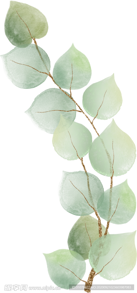 北欧小清新水彩植物图案