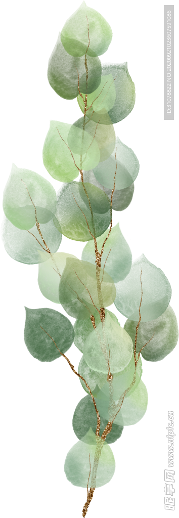 北欧小清新水彩植物图案