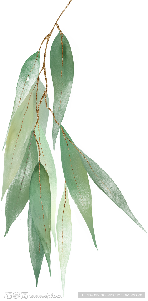 北欧小清新水彩植物图案