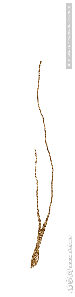 简约树枝树干图案