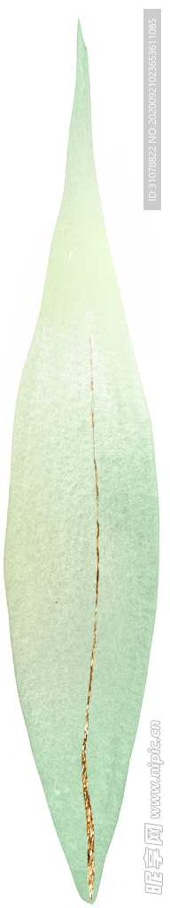 北欧小清新水彩植物图案